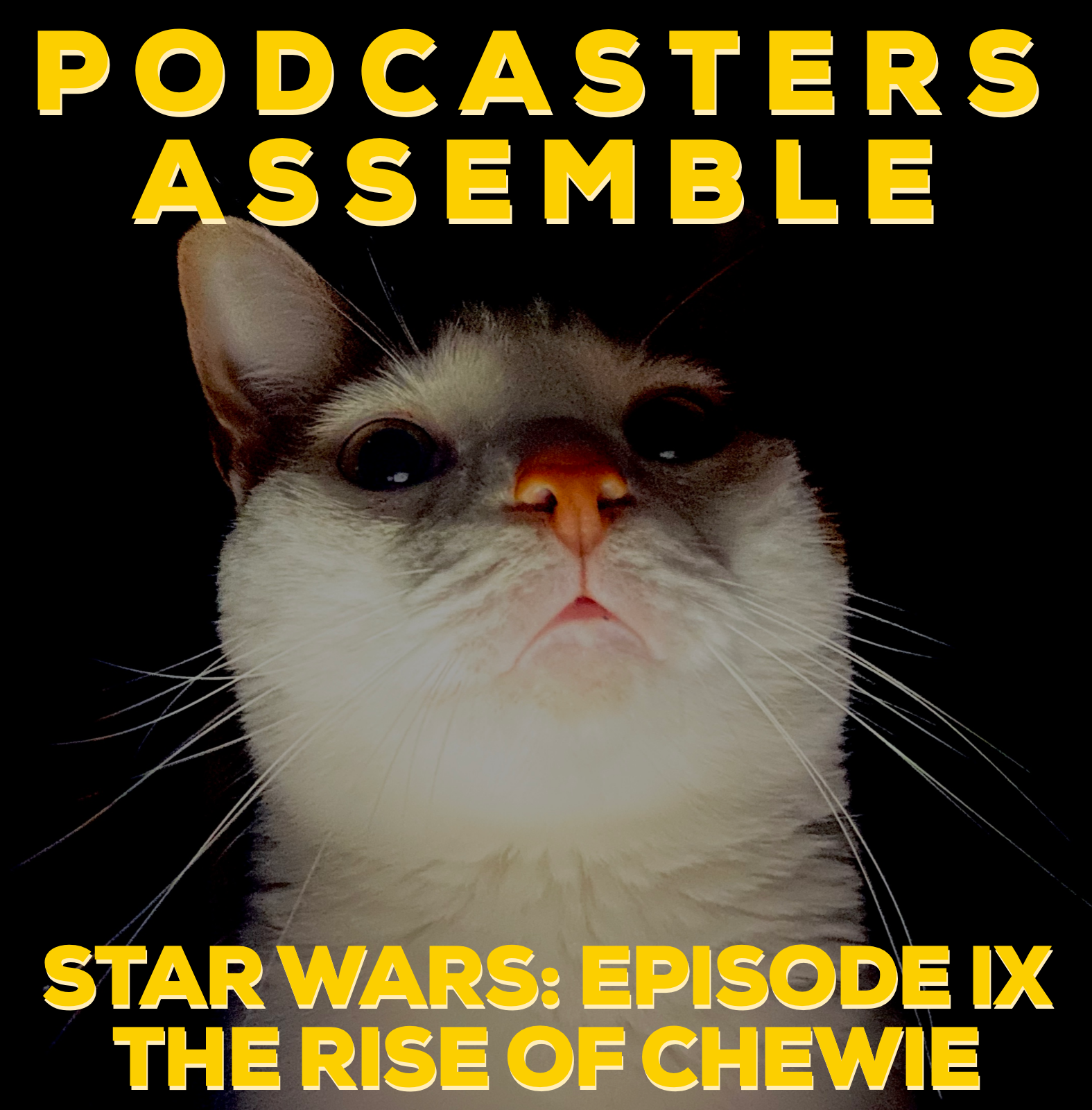 Star Wars: Episode IX - The Rise of Skywalker (Probably)